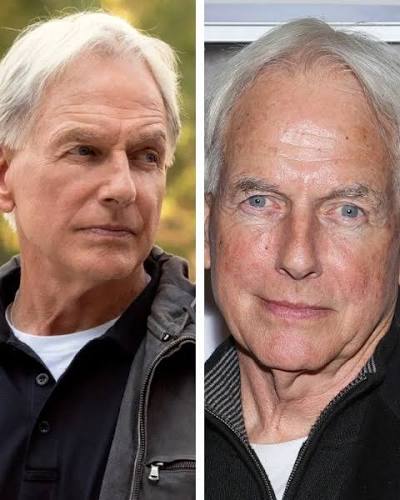 How did Mark Harmon rise to become one of American television's most  respected and beloved stars? Born in 1951, Harmon first pursued athletics,  excelling in football before discovering his passion for acting.