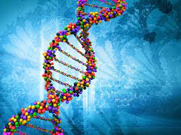 Search free science wallpapers on zedge and personalize your phone to suit you. Dna Genes Science Wallpaper Wall Mural