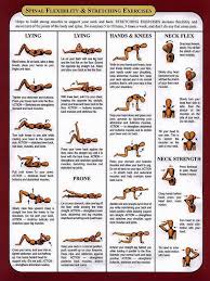 Pin On Cervical Spine Health For M S