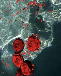 See more ideas about iphone wallpaper, wallpaper, iphone background. Flower Iphone Wallpaper Tumblr