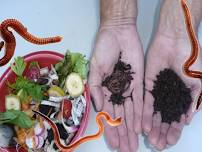 Worm Workshop (Vermicasting)