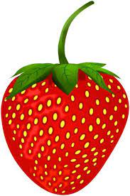 Strawberry Png Clip Art Strawberry Png Clip Art Art