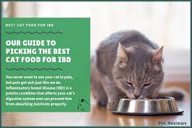 Looking for a cat food for a sensitive stomach? 11 Best Highly Digestible Cat Foods For Sensitive Stomachs In 2021