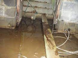 Mold spores are notorious for causing reactions such as wheezing, stuffy or runny noses, itchy and watery eyes. Here S Why You Need To Fix Your Damp Basement Now Master Building Inspectors