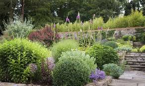 Country Garden In Surrey By Hampshire Based Garden Designer Jennifer Gayler Stone Terraces Are Planted With Shrubs Pe Plants Ideal Gardens Gorgeous Gardens
