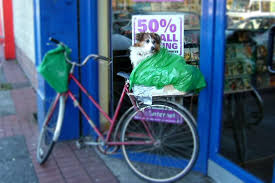 Ein Hundekorb Furs Fahrrad Urban Dog