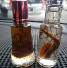 Bisa digunakan oleh siapapun, entah itu pria maupun wanita.berumur maupun remaja. Bulu Perindu Home Facebook