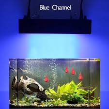 Maybe you would like to learn more about one of these? Best Led Aquarium Light 165w Dimmable Aquarium Led Lighting Lamp For Reef Coral Fish Buy Aquarium Lighting 165w Aquarium Light 165w Dimmable 165w Dimmable Aquarium Led Lighting Lamp For Reef Coral Fish Product
