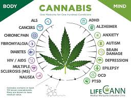 Cbd is also proven to relieve symptoms of social anxiety and ptsd. Marijuana Ocd Lifecann Md