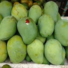 Daftar harga mangga harum manis terbaru juni 2021. Mangga Harum Manis Super Export Quality Shopee Indonesia