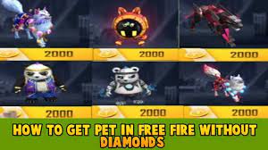 The sites are free and you can find the best, most creative and funny nicknames for. How To Get Free Pet In Free Fire Pointofgamer