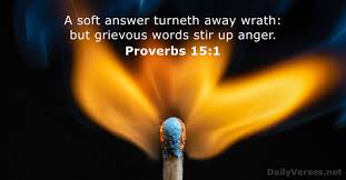 A soft answer turns away wrath. July 29 2021 Bible Verse Of The Day Kjv Proverbs 15 1 Dailyverses Net