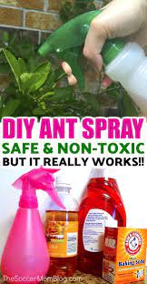 This is a good first wave of. The Best Homemade Ant Killer Kid Pet Safe The Soccer Mom Blog