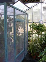 We have a chameleon safe plant list. Chameleon Enclosures Chameleon Forums