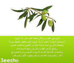 لأوراق الزيتون فوائد خاصة بعد أن تغلى أوراق الزيتون الخضراء أواليابسة بعدما تغسل جيدا في الماء لمدة ساعتين وتترك بعدها حتى تبرد ثم تصفى حيث herbs tips parsley