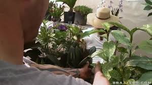 Sara jay and kendra lust go roller skating they fall and a guy fucks. Lila Loves Sara Jay Pornmedium Com