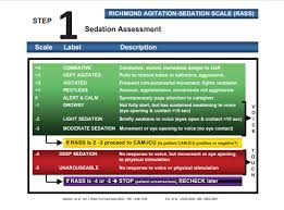 Image result for CAM-ICU
