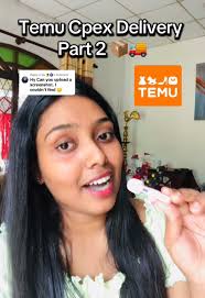 Temu Cpex Delivery Part 2: Discover What's Inside