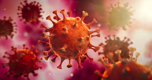 Linea De Tiempo Del Coronavirus Dentro Del Cuerpo De La Infeccion A La Recuperacion O Muerte San Diego Union Tribune En Espanol