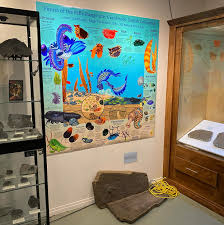 Image result for Tragia brevipes-benthamii-okanyu