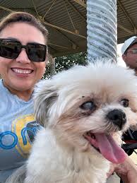 Shih Tzus of San Antonio