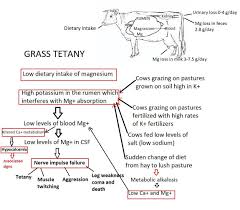 Image result for Tetany