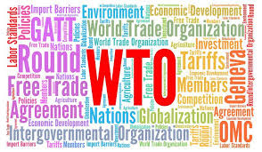 World Trade Organization Wto Definition