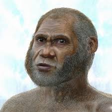 Peking-mannen mye eldre enn antatt