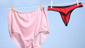 La culotte pour femme allie ces deux qualités. Mes Dernieres Annees Fourrables Huffpost Quebec Vivre