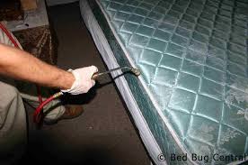 Bed bugs are small parasitic insects, roughly the size of an apple seed. Bed Bugs 101 What Should I Do With My Bed Bedbug Central