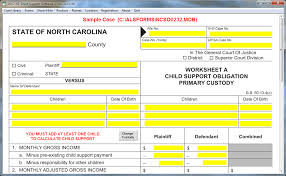 Qualified additional dependent deduction child s name whose child bo ild h c ge ria ar gm rin du date of birth ss i verily believe from all the information available to me at this time. Child Support Software Advanced Legal Software
