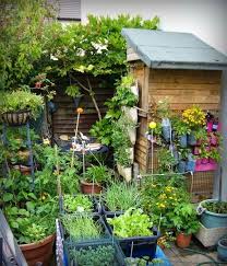 Decorate With Hanging Trees In The Garden Feng Shui Vertical Vegetable Gardens Small Space Gardening Small Gardens