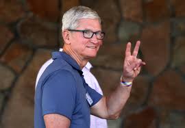 Eggplant is high in fiber but low in calories so it's great to cook with. Apple Reportedly Working On Buy Now Pay Later Service With Goldman Sachs