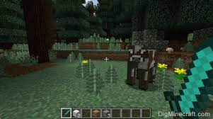 In minecraft is within the chat window. How To Keep Inventory When You Die In Minecraft