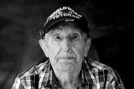 The Painted Parakeet