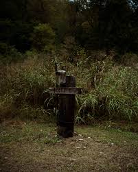 Mitchell Hurst — Aviary Gallery