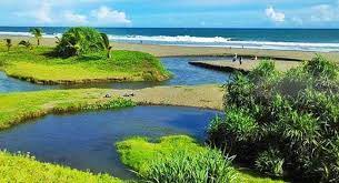 Maybe you would like to learn more about one of these? Pantai Bopong Htm Rute Foto Ulasan Pengunjung