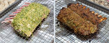 Jump to navigation jump to search. Guild Wars 2 Plate Of Coriander Crusted Meat Pixelated Provisions