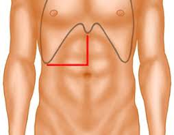 The liver also has the ability to grow back. Left Lateral Liver Resection Open