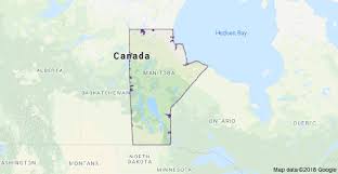 What Can I Substitute Manitoba Flour With Quora