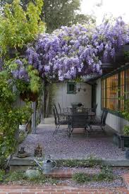 Order online for delivery or click & collect at your nearest bunnings. Wonder Wall The Climbing Plants That Can Improve Your Garden Houzz Nz