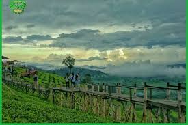 Kebun teh cipasung selain memiliki hamparan kebun teh yang luas dan udaranya masih sejuk sehingga tidak kalah indahnya dengan kebun teh di lembang bandung maupun puncak bogor menjadi salah satu daya tarik para wisatawan baik lokal maupun dari luar kota bahkan sekarang. 5 Tempat Wisata Di Bandung Yang Buka Halaman All Kompas Com