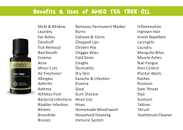 Uses For Tea Tree Oil Order Your Essential Oils At Http Www Bragga Myameo Com Tea Tree Oil Benefits Tea Tree Oil For Acne Coconut Oil Skin Care