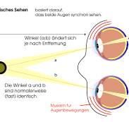 Meine Prismenbrille