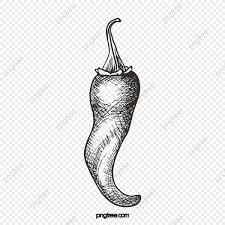 Maka secara otomatis foto akan menjadi hitam putih seperti terlihat pada gambar paling atas. Halaman Download Gambar Lada Sayuran Garis Putih Hitam Yang Digambar Tangan H