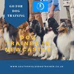 Dog Trainer In Gateshead Puppy Classes Dog Trainer Dogs