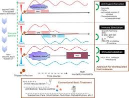 Use the same product spetic helper 2000 looking to aquire more but must be discontinued down to my last 3 bags. Frontiers Immune Deregulation In Sepsis And Septic Shock Reversing Immune Paralysis By Targeting Pd 1 Pd L1 Pathway Immunology