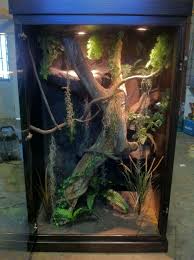 Https Www Facebook Com Pages Hp Customs Custom Reptile Enclosures 572704122760765 Reptile Terrarium Reptile Habitat Reptile Cage