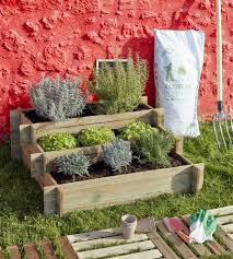 le carre potager a 3 etages in 2021 vegetables cabbage food