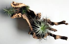 No more dripping flower pots. 20 Ideas For Hanging Flower Pots Indoor Plants Exhibit Creative Interior Design Ideas Ofdesign